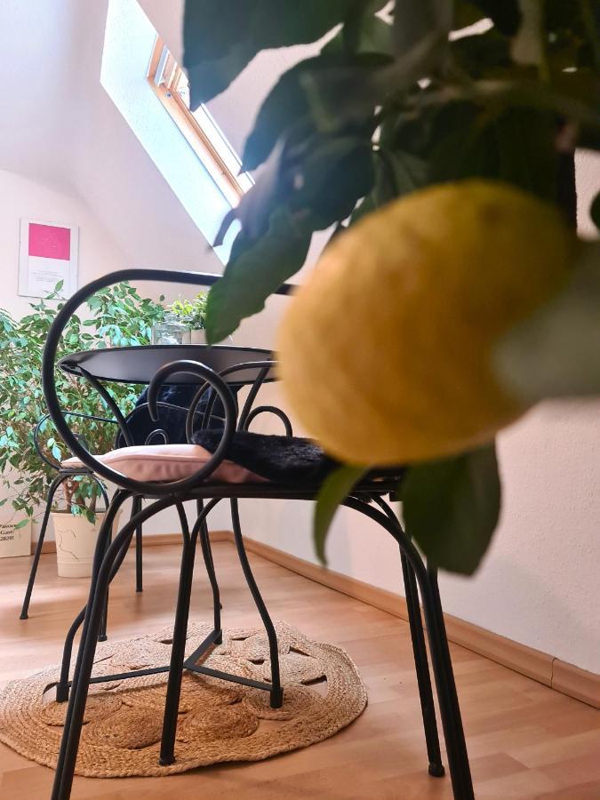 Gaestehaus Zum Weinbauer 罗特翁特尔里特堡 外观 照片